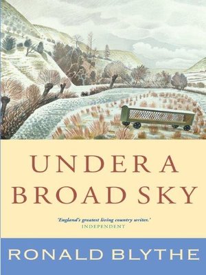 cover image of Under a Broad Sky